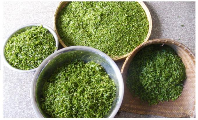 Teh hijau panggang organik, 150 g Teh hijau panggang untuk pelangsing, teh pelangsing hijau yang sehat