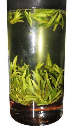 Kualitas tinggi awal musim semi bambu organik zhuyeqing teh hijau